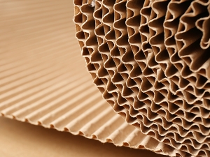 紙類緩衝材介紹｜蜂巢紙與瓦楞板的特性、優勢與應用